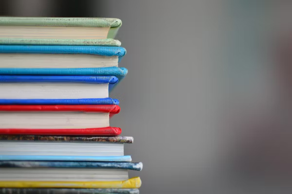 Scientific Paper Computer Science Fast Publication Journal